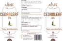 Cedar Leaf Essential Oil - Allure Aromatics