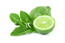 Bergamot Bergampetene Free (Calabrian) Essential Oil - Allure Aromatics